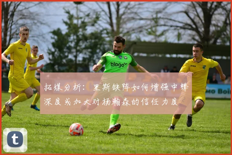 拓媒分析：里斯缺阵如何增强中锋深度或加大对杨瀚森的信任力度